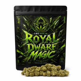 Royal Dwarf Magic Small Buds