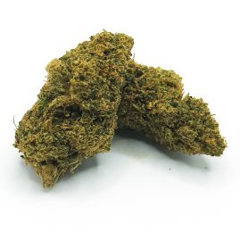 Diesel Cookie Indoor