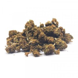 Fat Banana Small Buds