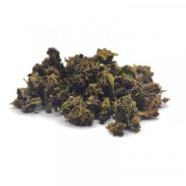 Aladin Purple Kush