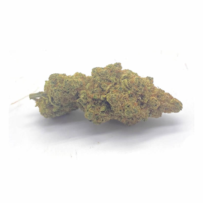 White Widow 4G