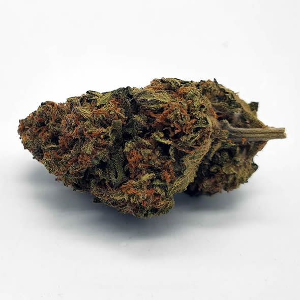 Mango Haze 16G
