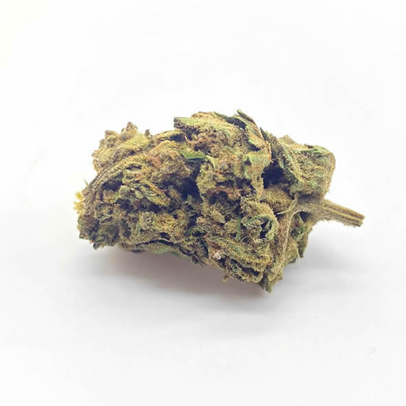 Berry White 4G