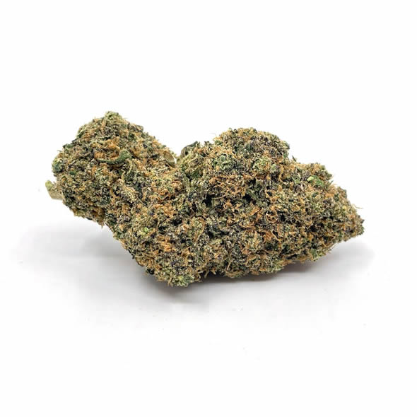 Tropical Zkittlez Indoor