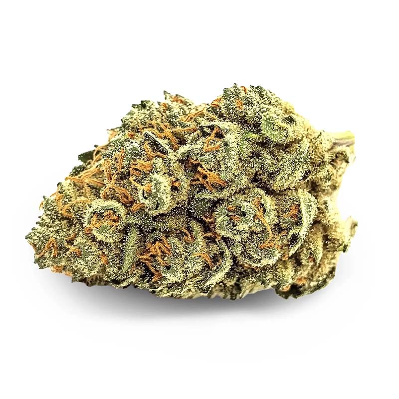 Mexican Haze Outdoor