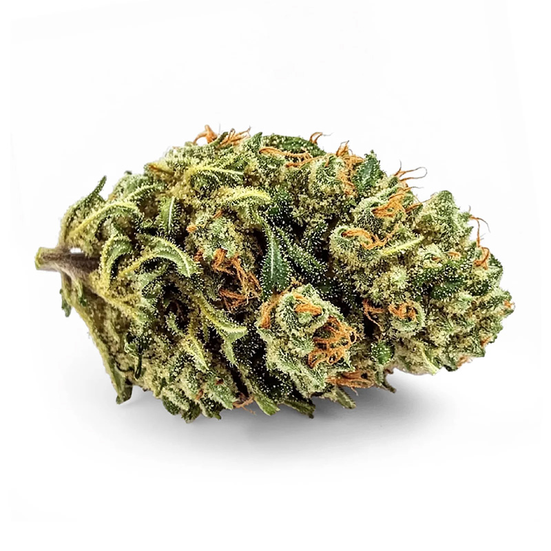 BlueBerry Indoor