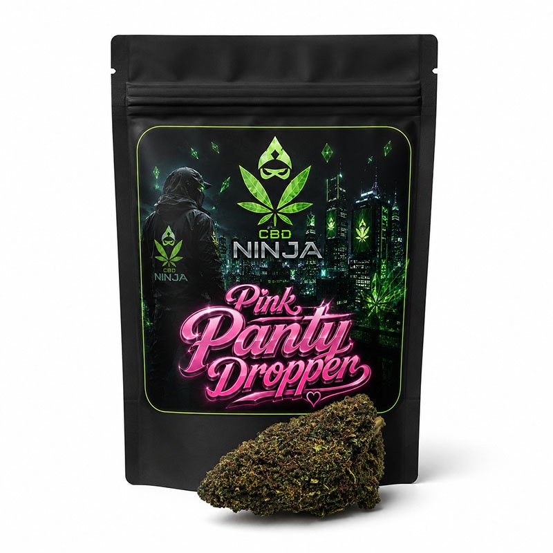 Pink Panty Dropper Indoor