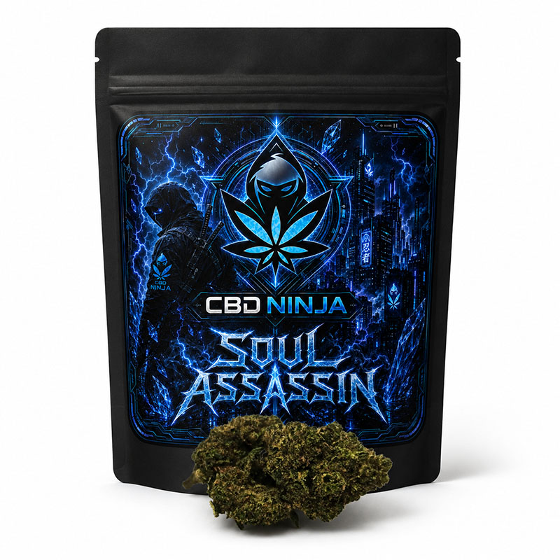 Soul Assassin