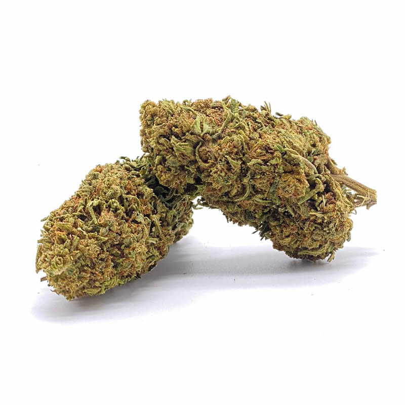 Acapulco Gold 4G