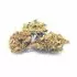 Afghan Kush