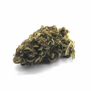 Caramel Candy 24G
