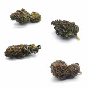 Pack découverte CBD 4 variétés
