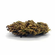 Super Skunk 4G