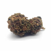 Swiss Cheese 4G