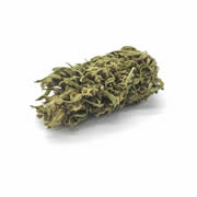 Mango Kush 16G