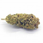 Harlequin 4G