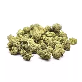 Small Buds California Haze Indoor