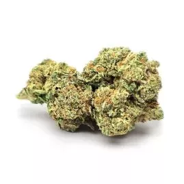 Jack Herer Indoor