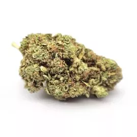 Mango Haze