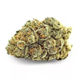 Mexican Haze Outdoor