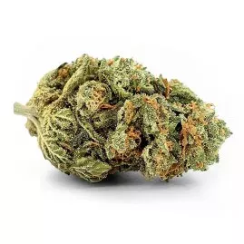 Alien Kush Indoor