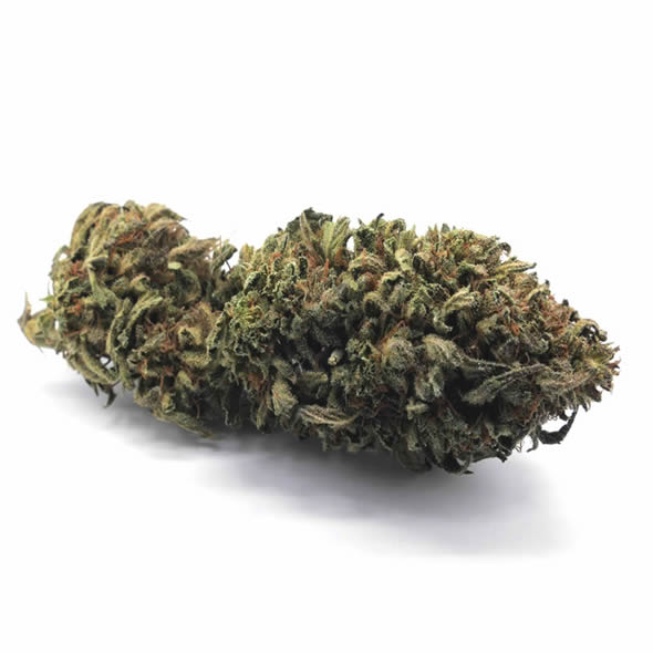 Bubble Gum 4G