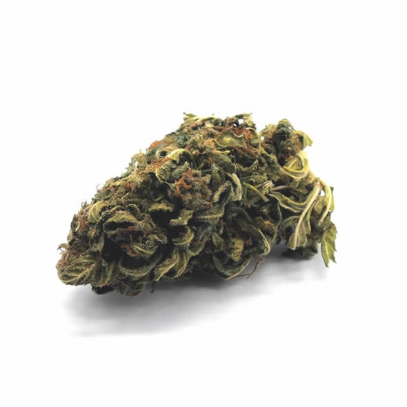 Caramel Candy 24G