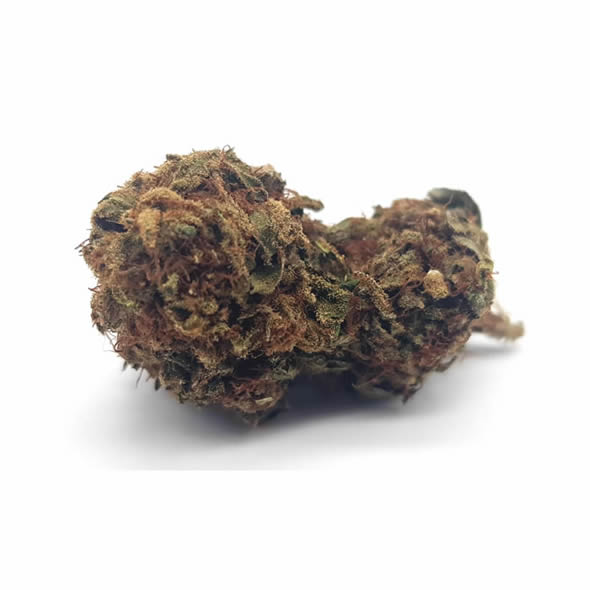 Swiss Cheese 4G